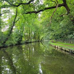 So many magical spots on this canal