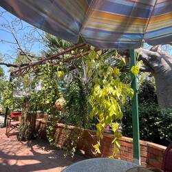 Lovely cafe at one of the local galleries.