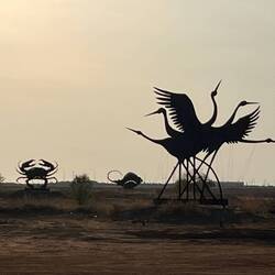 Sculptures on the Marsh. Commissioned to showcase local Aboriginal artist. Stunning at sunset