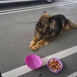 Und 2 HotDogs für die kleine...