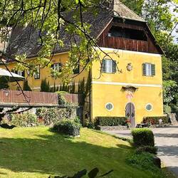 Gräflich Stürkh'sches Weingut