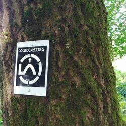 Gibt es Zaubertrank auch als Schorle?