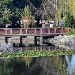 Bridge in Minoru Park