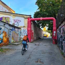 Kafejnīca, bārs Ezītis miglā