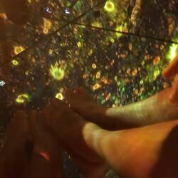 Moving images projected onto the ceiling