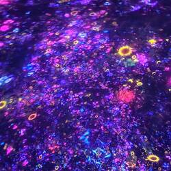 Moving images projected onto the ceiling