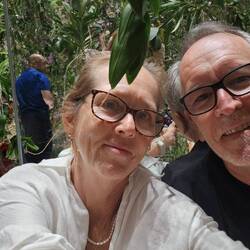 In the hanging garden