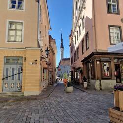 Blick zum Rathaus