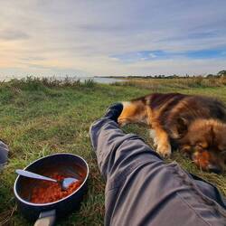 Dinner for One ... und dann war es das für heute.