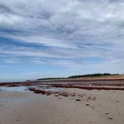 Bei uns ist es eher ein Naturstrand.