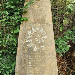 Millennium Celtic spiral forest trail walk marker