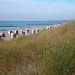 Strand mit Düne und ohne Ticket in Graal Müritz