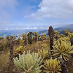 Blick ins Tal, in das es nun wieder hinunter ging