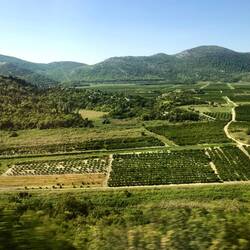 View of farmland along route to Dubrovnik from Split.