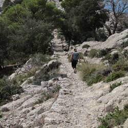 Easy going on a bridle path