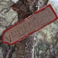 Dahin zurück, wo wir her gekommen sind