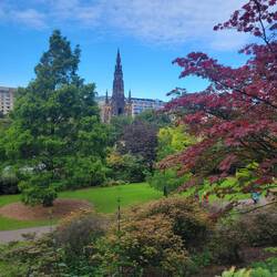 Looking across to Princess St after we cut across Victoria Park
