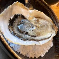 Oyster Virginity Broken