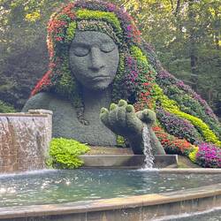 The beautiful Atlanta botanical Gardens