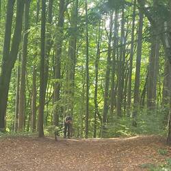 Tired after a gruelling endless climb