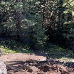 Offizieller Trail - Durchs Gebüsch über Stock und Stein