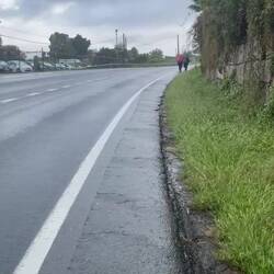 This was so scary! How many people have died?