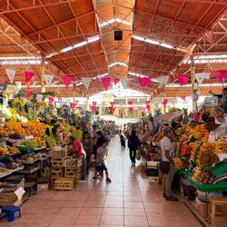Obst und Farbe ohne Ende 😍