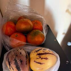 Die unvergleichlichen Mandarinen