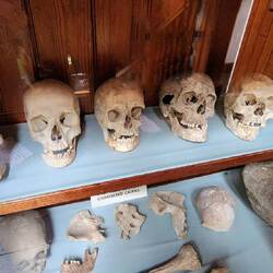 Some really old locals