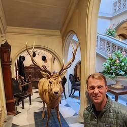 Sven's cousin from the Frozen movie?