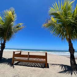 Blick auf den Strand 👀