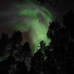 Polarlicht!