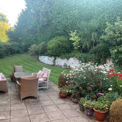 Back garden of their home where we had "tea"