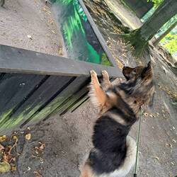 Das warten auf die Frettchen...