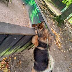 ...endloses Warten... Aber sie kamen nicht raus