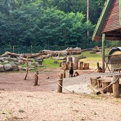 Wir waren mehr Attraktion für die Tiere, als diese für uns