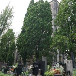 Cemetery behind Church of the Birth of Virgin Mary