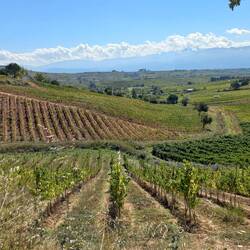 It is such a beautiful day, the photo doesn't do it justice.