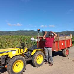 Love the little tractor. It looked like a dinky toy.