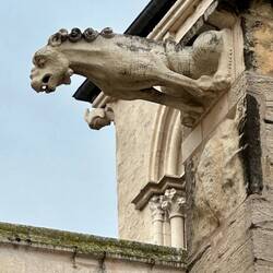 I love the gargoyles on the churches