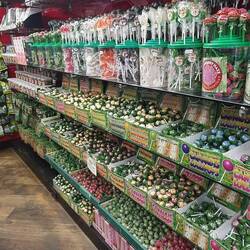 Kannabis in den verschiedensten Formen