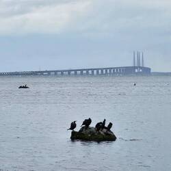 Blijft mooi, ik hou ervan!