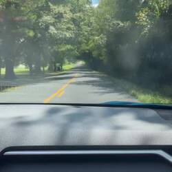 The lush landscape of Georgia