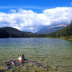 Ein kleiner See entlang der Wanderung in Jasper