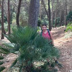 Palme im Wald. Hat was 2.0 😊