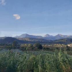 The Apuan Alps that divide beach from the trees.