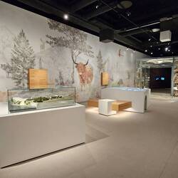 In de Stevns Klint Experience.