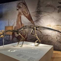 Interessante tentoonstelling.