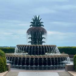 Pineapple Fountain