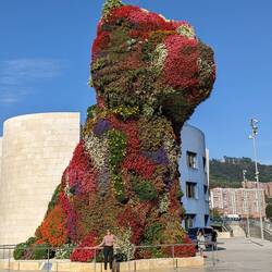 Amazing live plant cat in front of famous Guggemheim museum. Like the plant sculptures at Calgary Zo